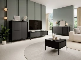 Nowoczesna seria mebli do salonu w modnej kolorystyce. Niewątpliwie największą zaletą kolekcji jest duża pakowność oraz wyjątkowy design. W skład zestawu wchodzi komoda , regał, szafka RTV oraz stolik kawowy