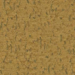 Bosco_48
